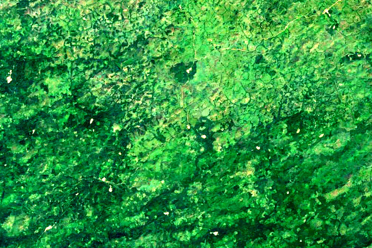 Lofa River: satellite view of the source
