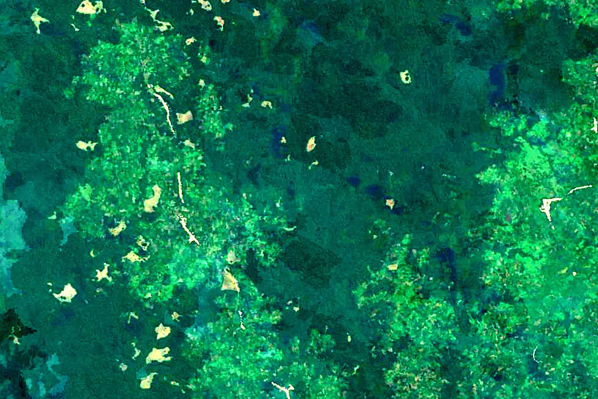 Lukenie River: satellite view of the source
