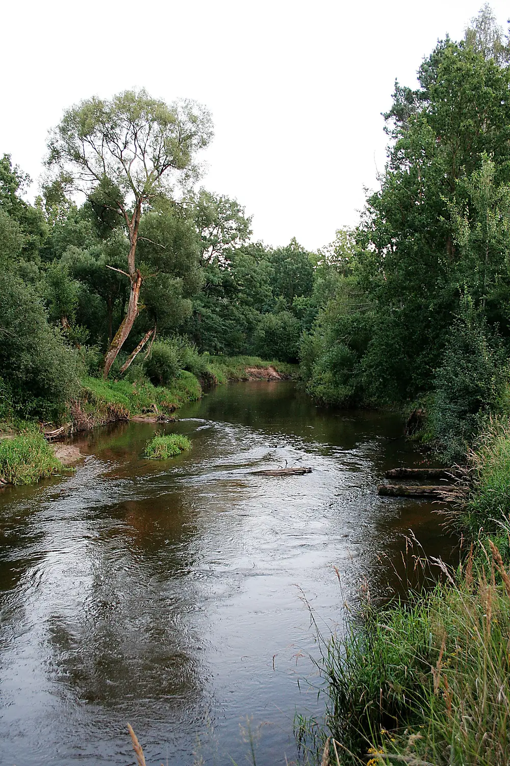 Luznice