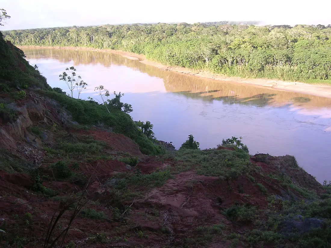 Los Amigos, Madre de Dios, Peru