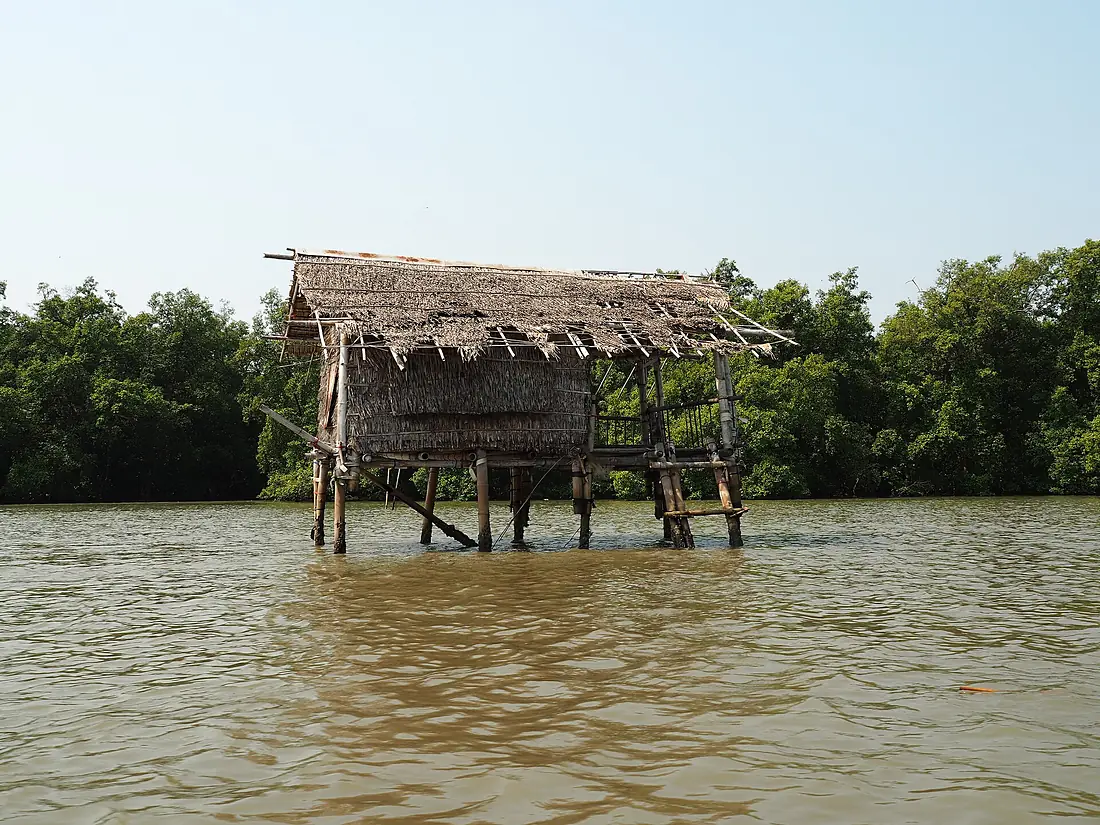 Fishing hut in the delta of Mae Klong River in Thailand P2131441