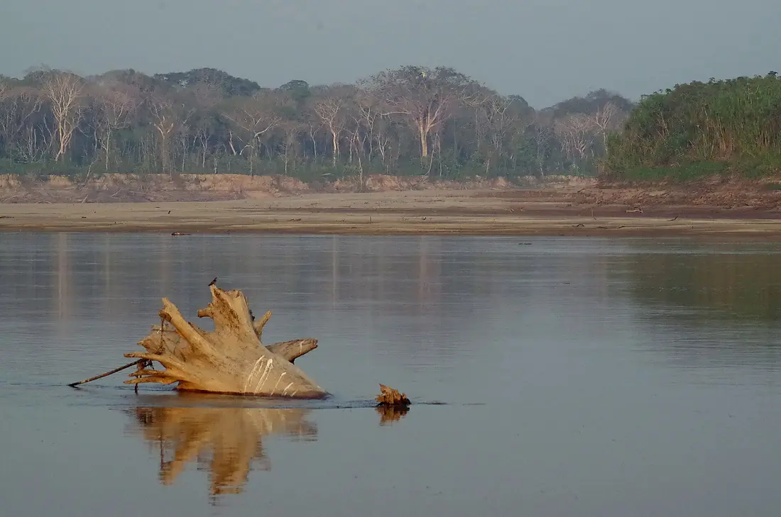 Rio Mamoré II, Bolivia