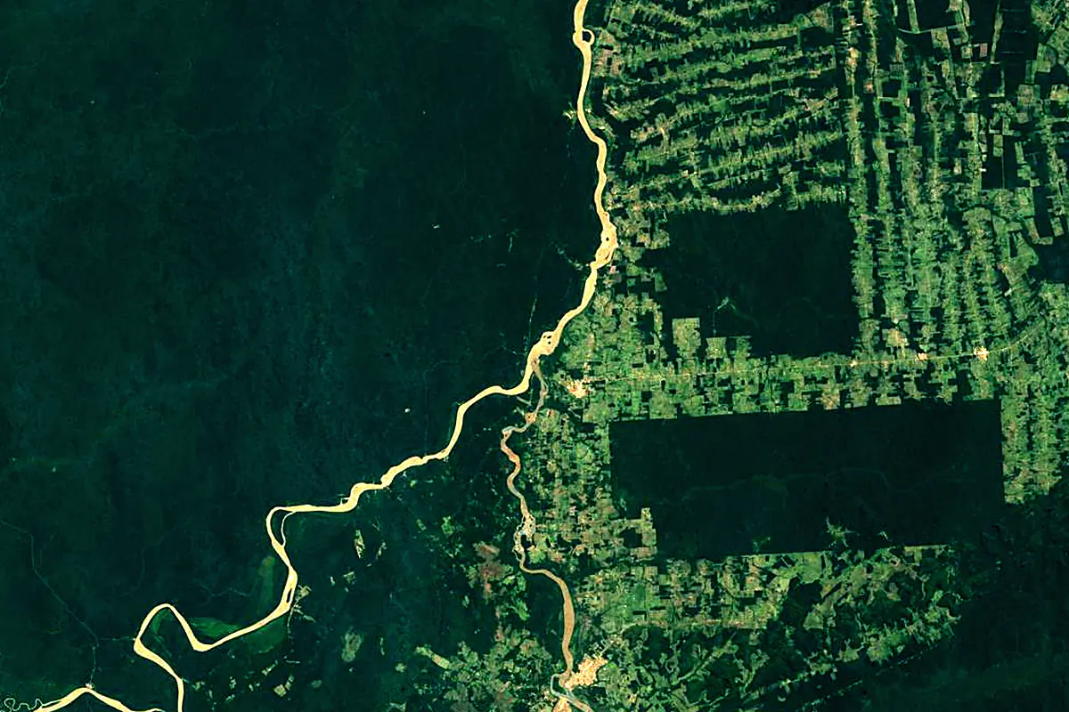 Mamoré River: satellite view of the mouth
