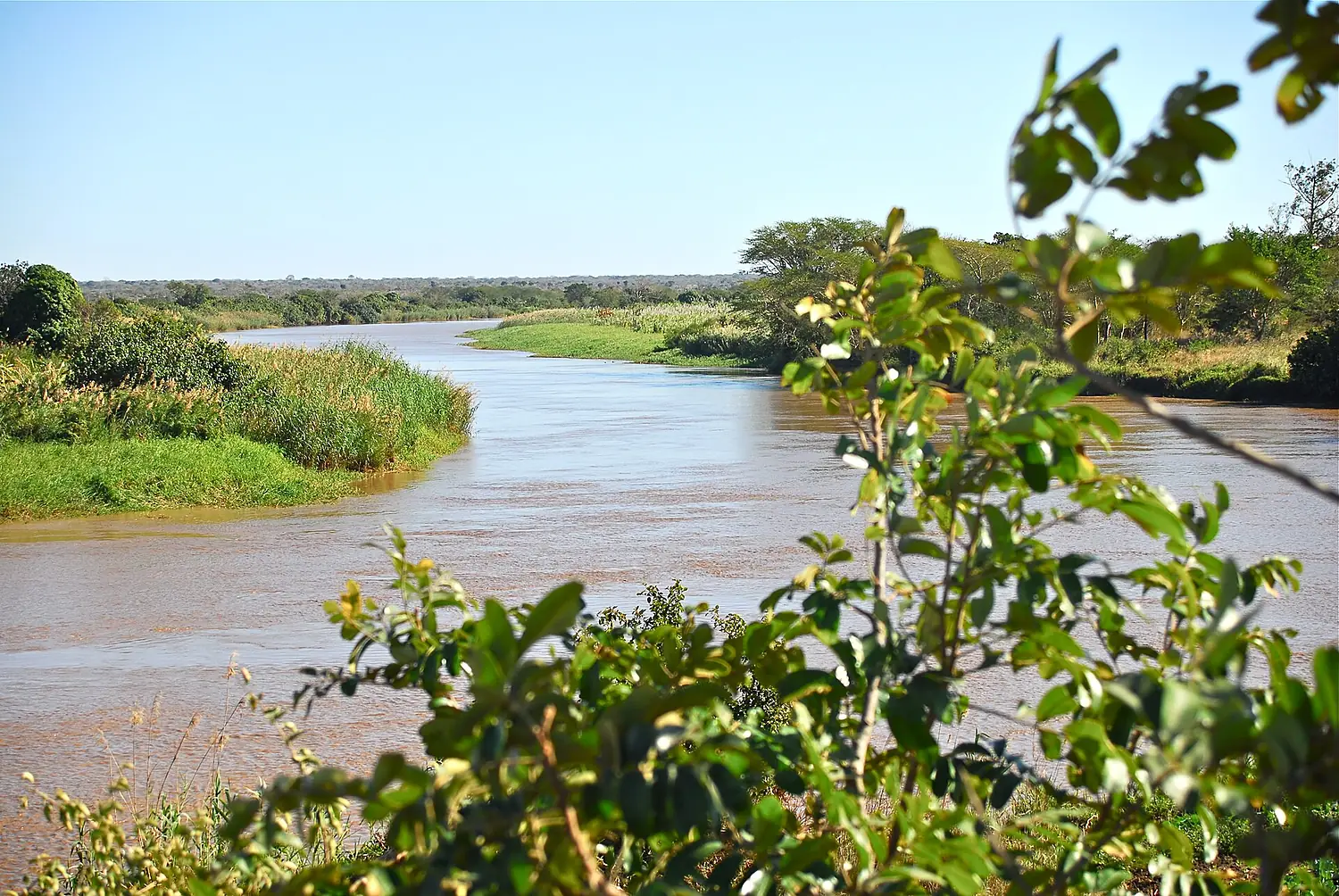 Maputo river