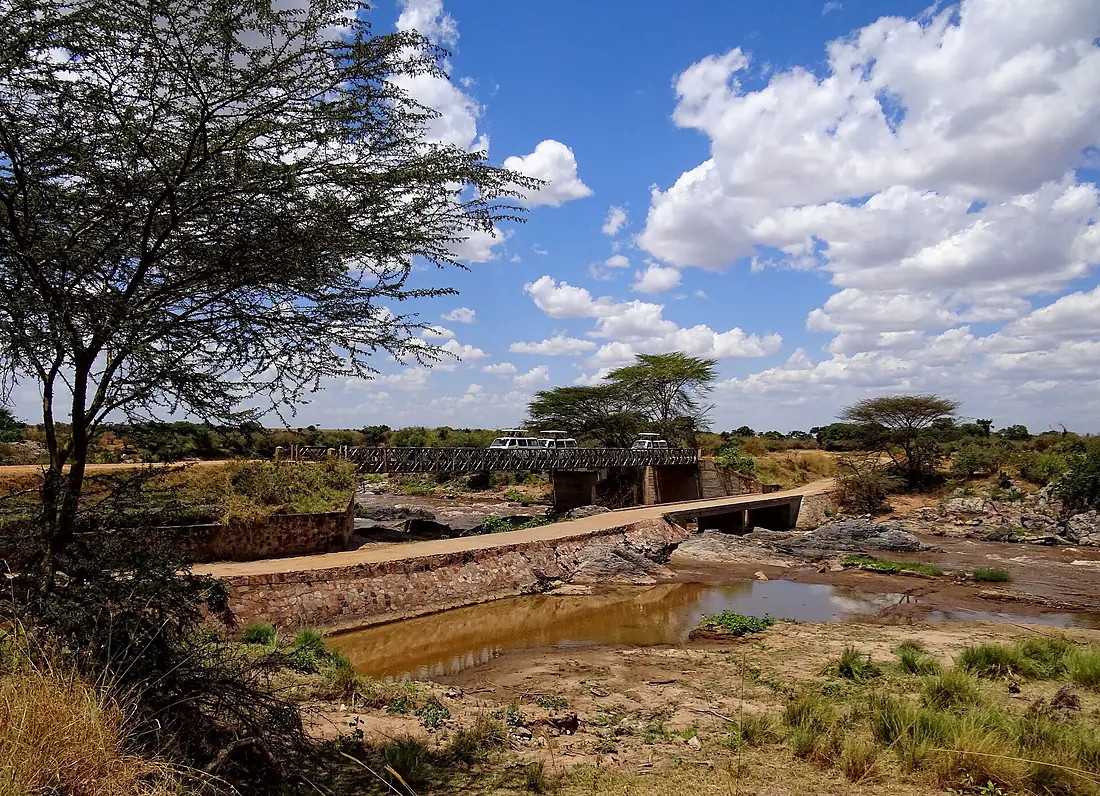 Bridges-across-Mara-2012