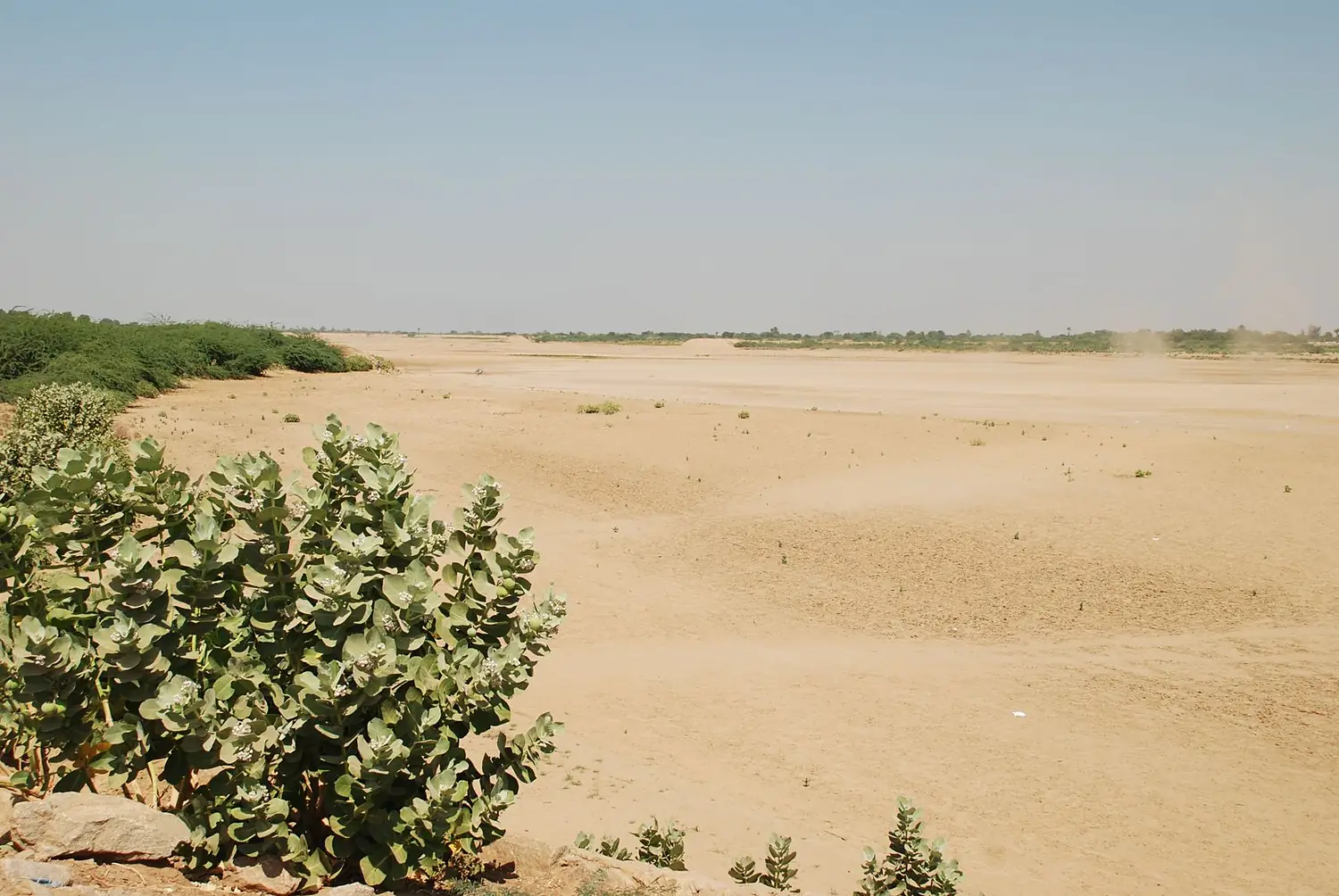 Kassala,Gash river