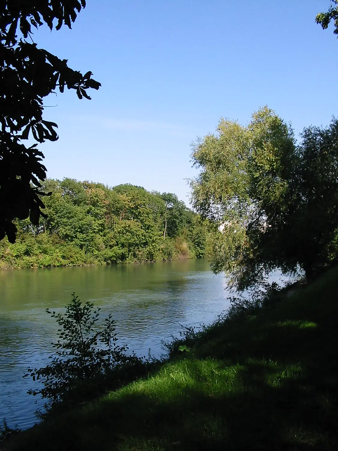 Bord de la Marne