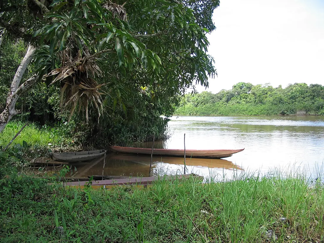 Maroni River