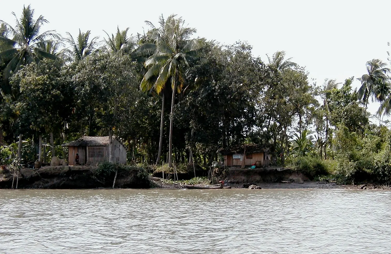 Bank Erosion at Song Tien of Mekong, Binh Dai, Ben Tre, Vietnam