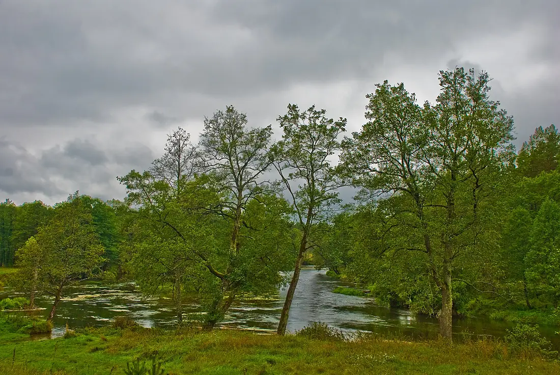 River Merkys near Pukovciai, Lithuania, 13 Sept. 2008 - Flickr - PhillipC