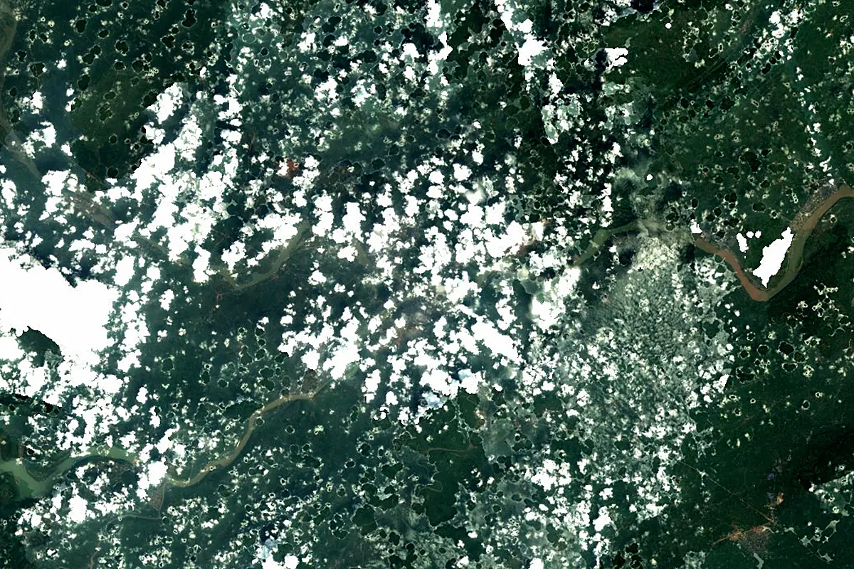 Min River: satellite view of the mouth