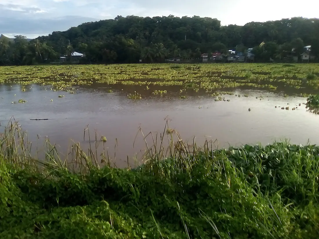 Rio Grande De Mindanao
