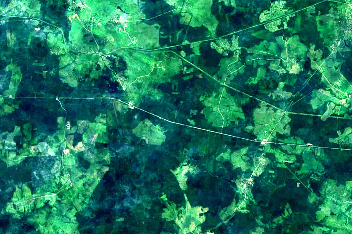 Moskva River: satellite view of the source
