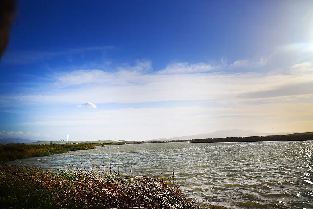 Moulouya river