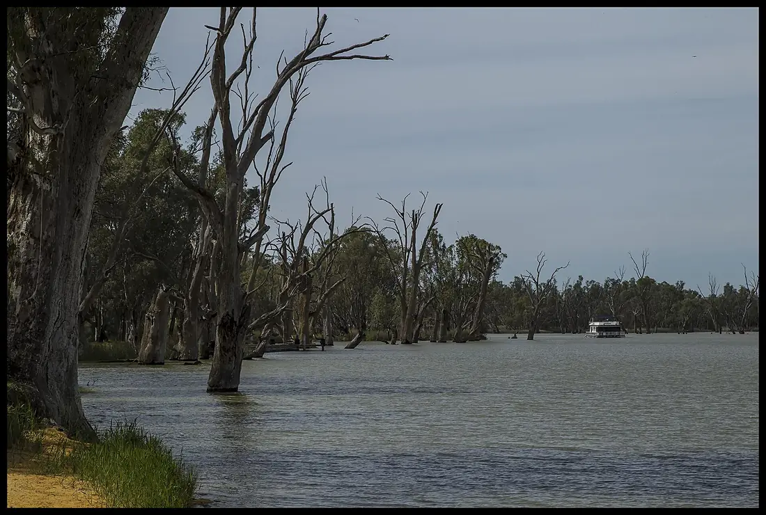 Banks of Murray River-1 (15599567325)