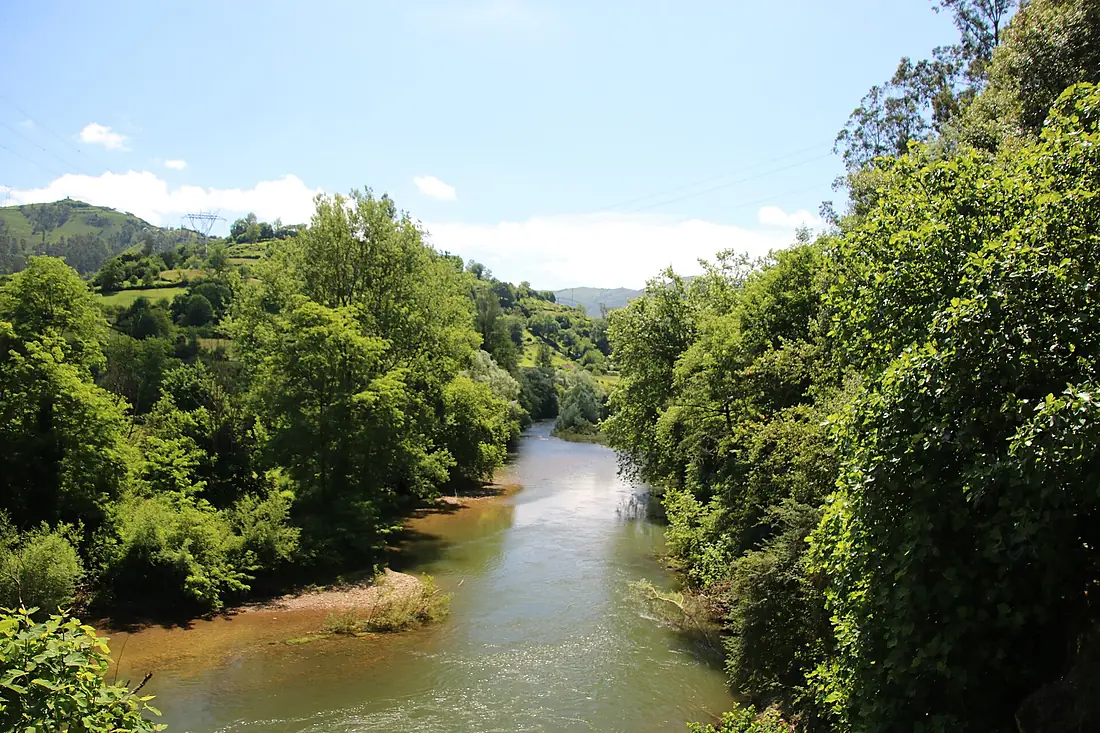 Camino de San Salvador, Río Nalón 01