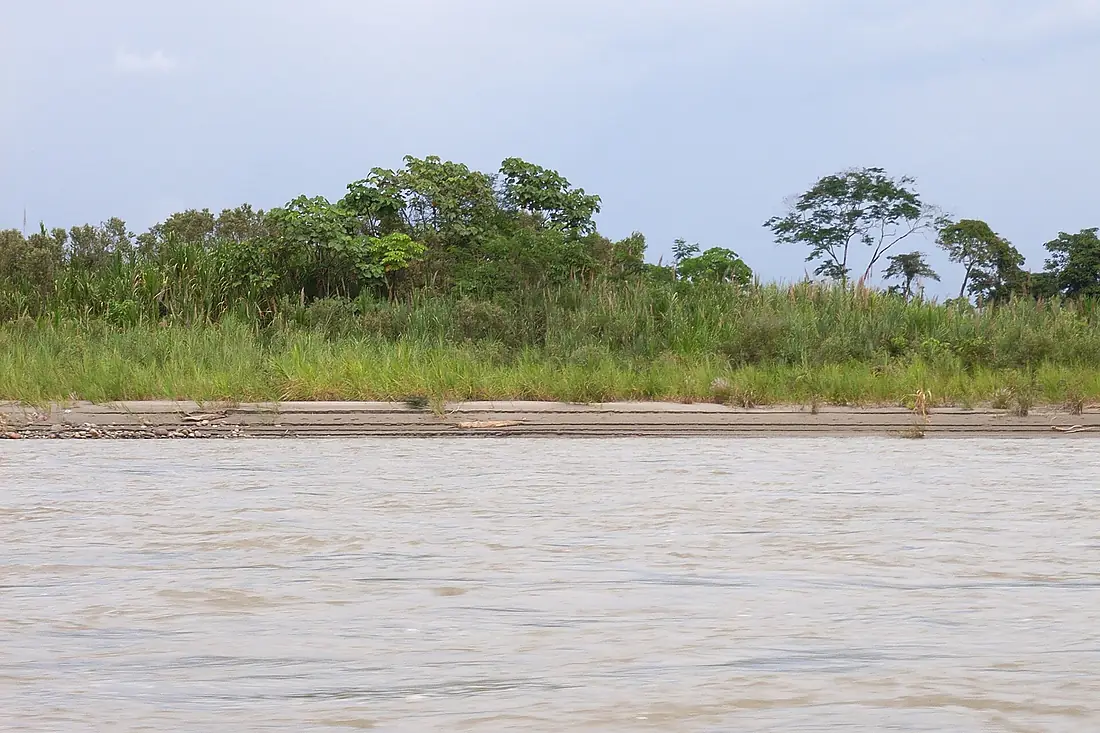Alluvium Rio Napo Ecuador