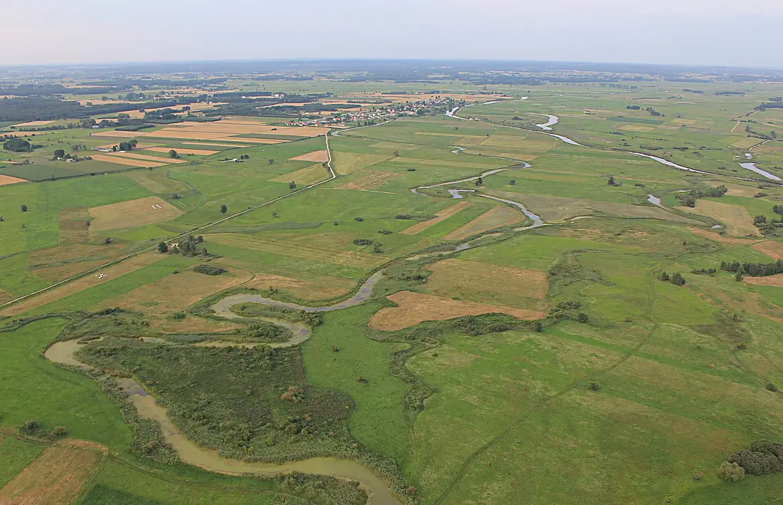 Meanders of Narew, near Góra
