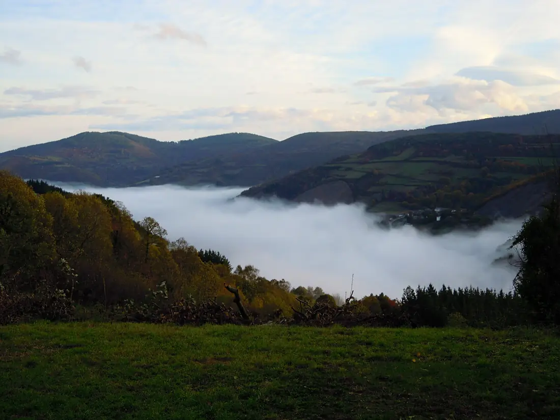 Néboa Navia