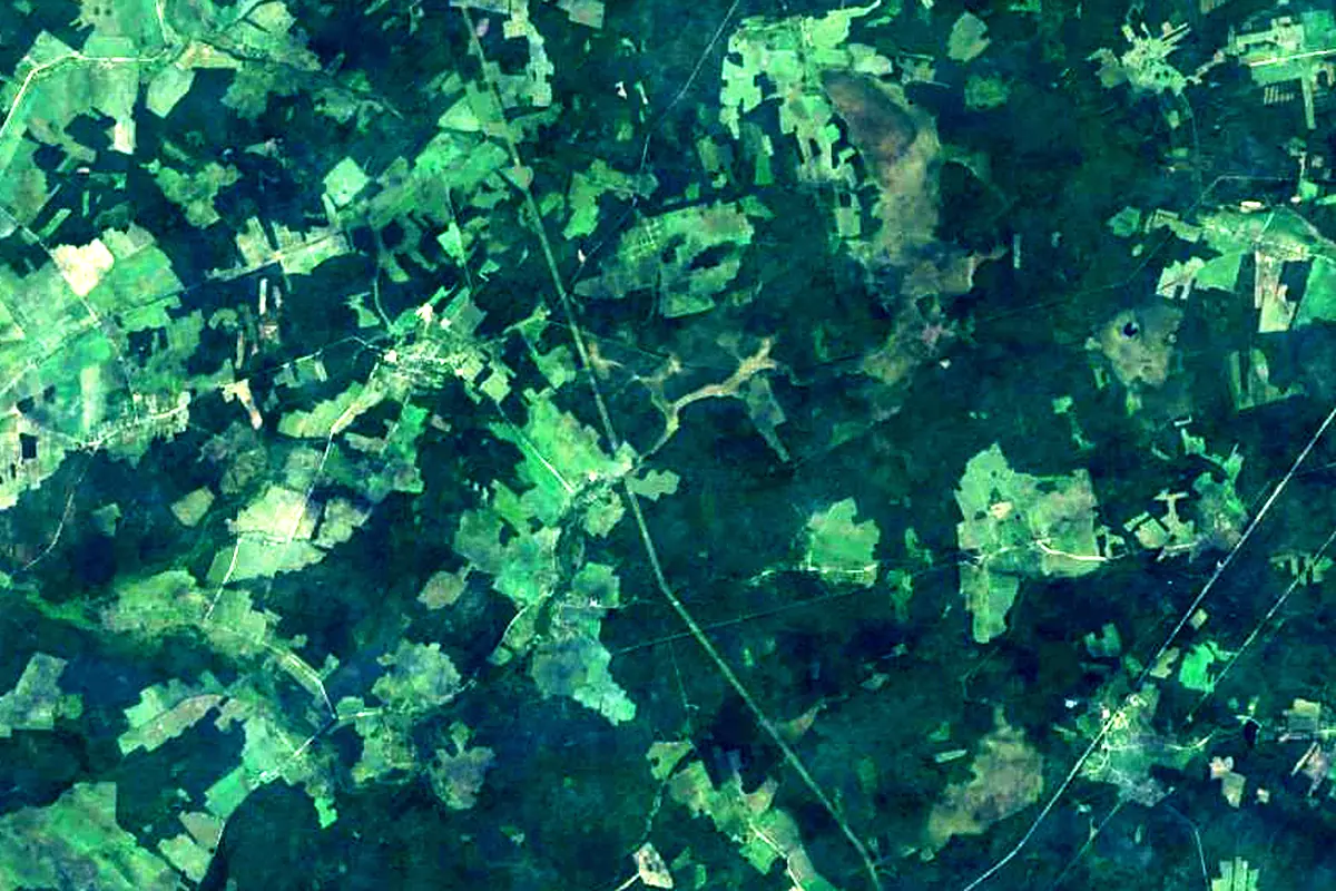 Neris: satellite view of the source