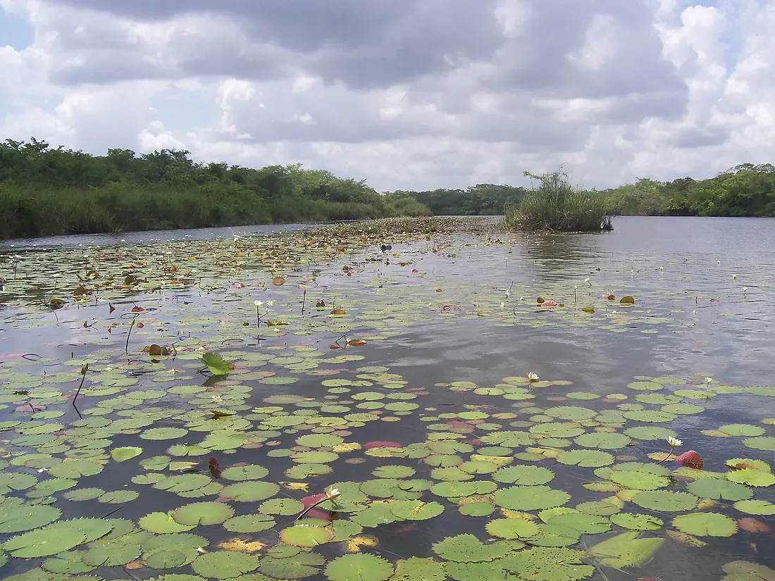NewRiverBelize