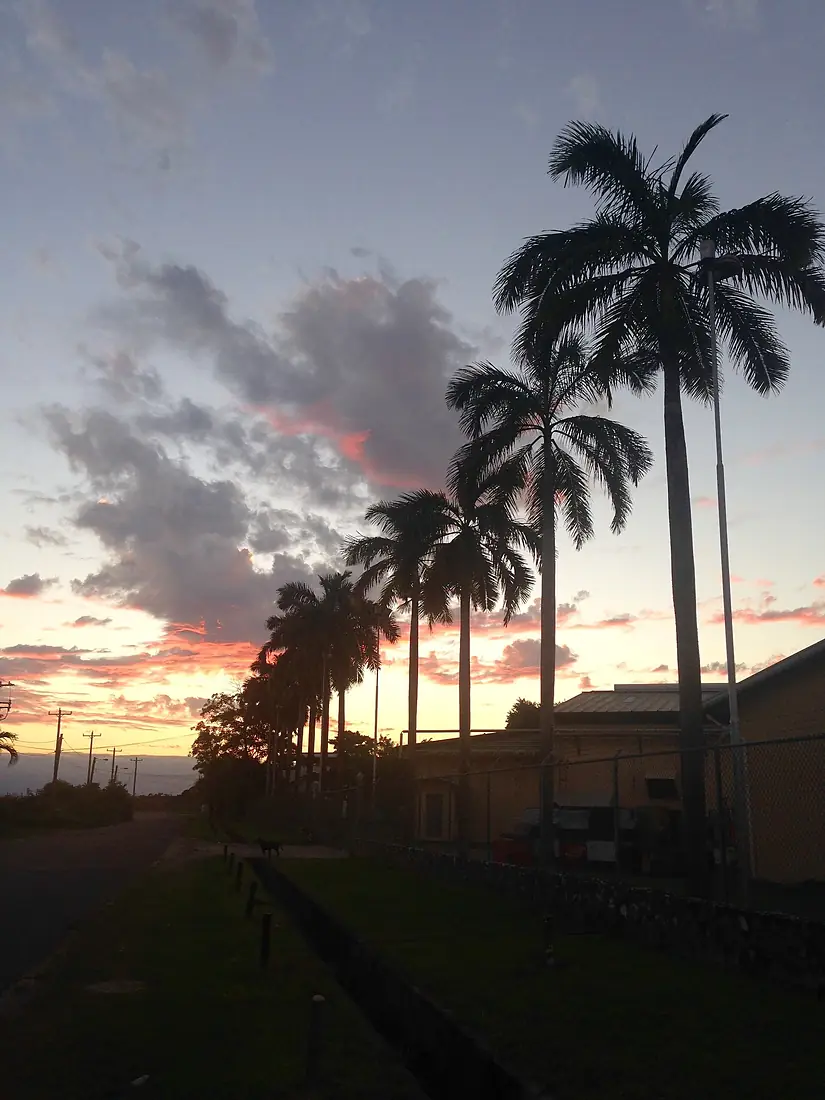 Belize tree sunset palms Jan 2016