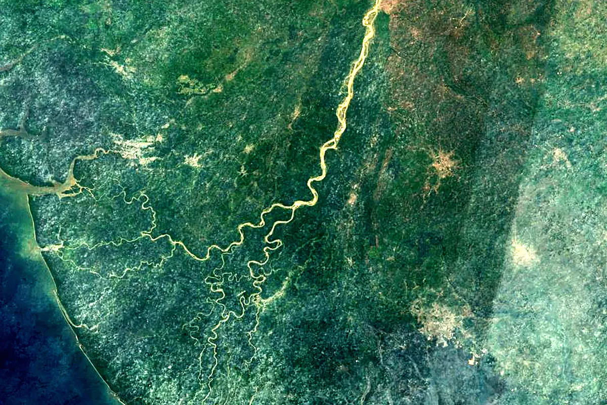 Niger River: satellite view of the mouth
