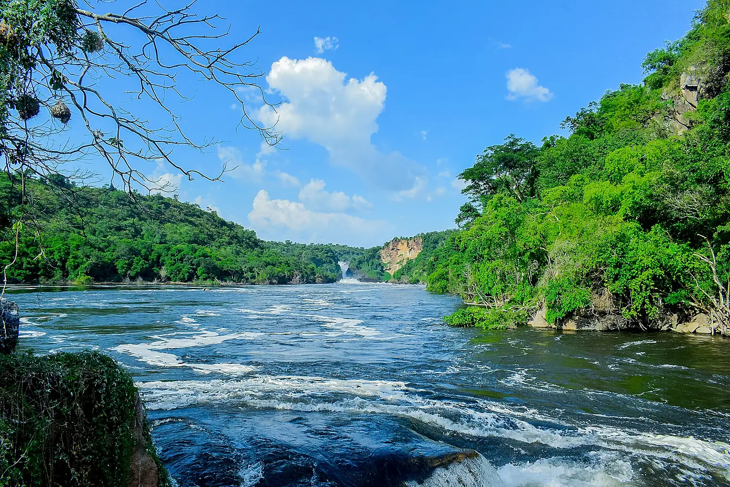 Beautiful nature along Nile River 01