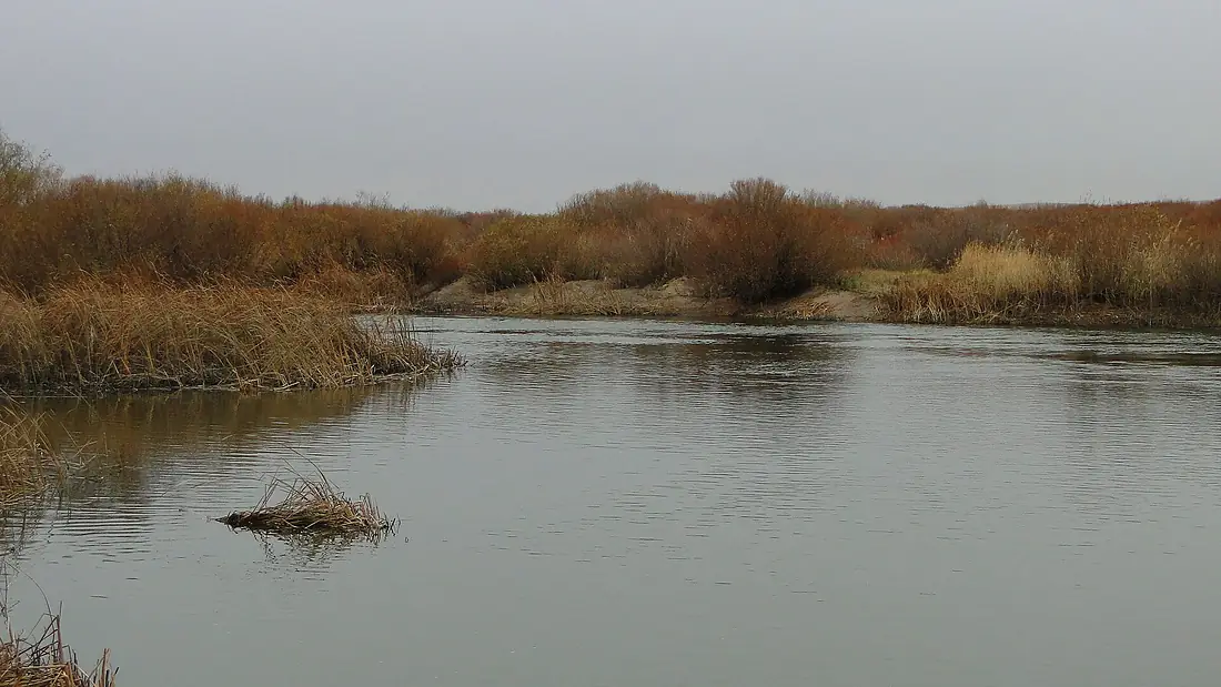 Nura District, Kazakhstan - panoramio (11)