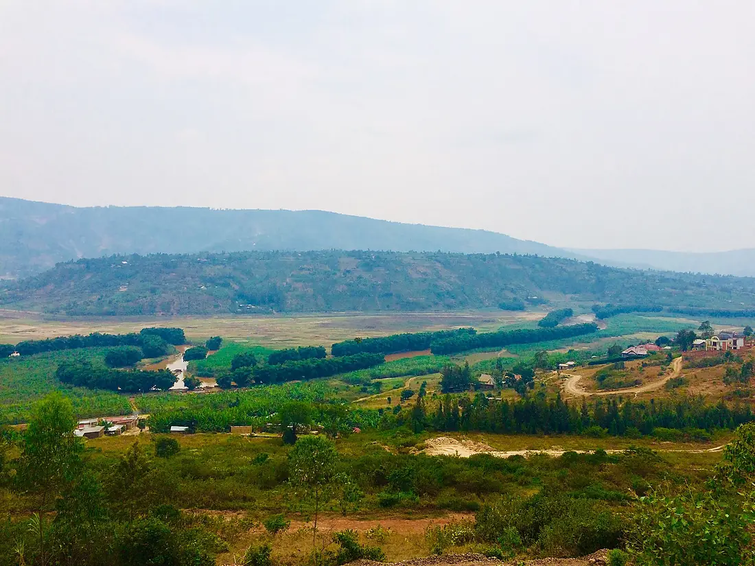 A view of Nyabarongo river