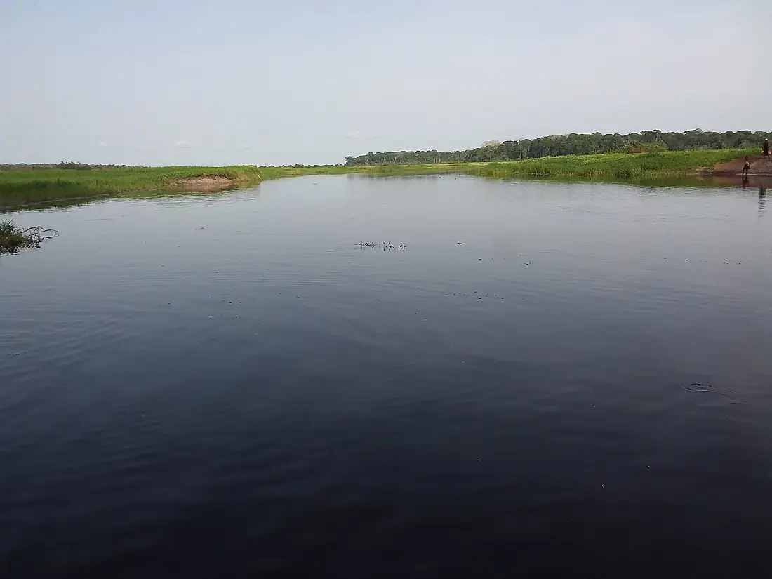 Berges du fleuve Nyong à Nkollesong