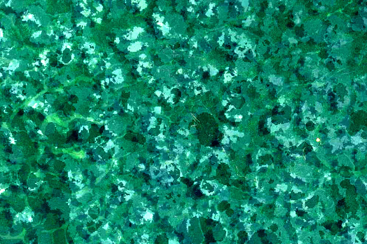 Nyong River: satellite view of the source