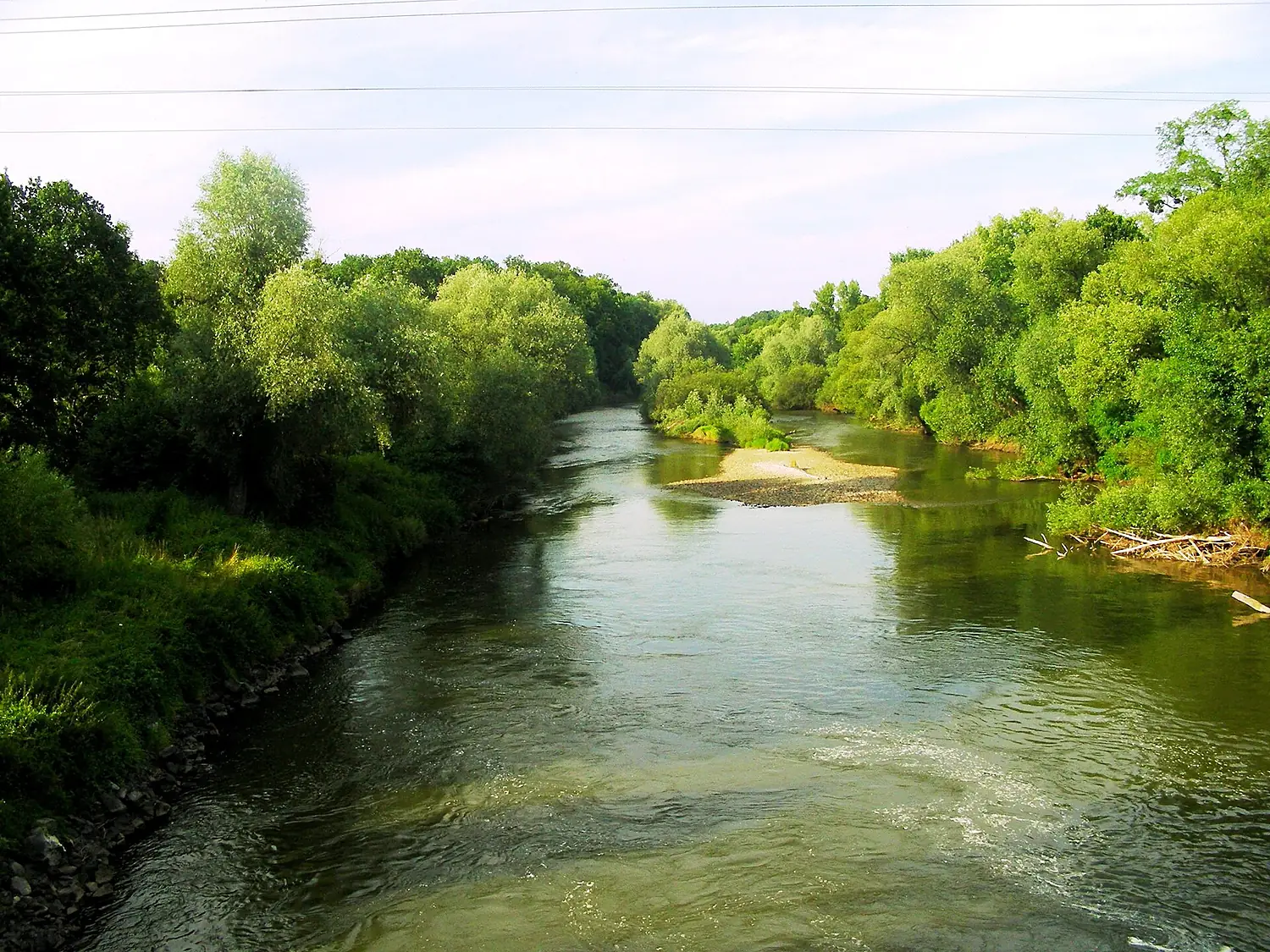 Rezerwat Dębina 015