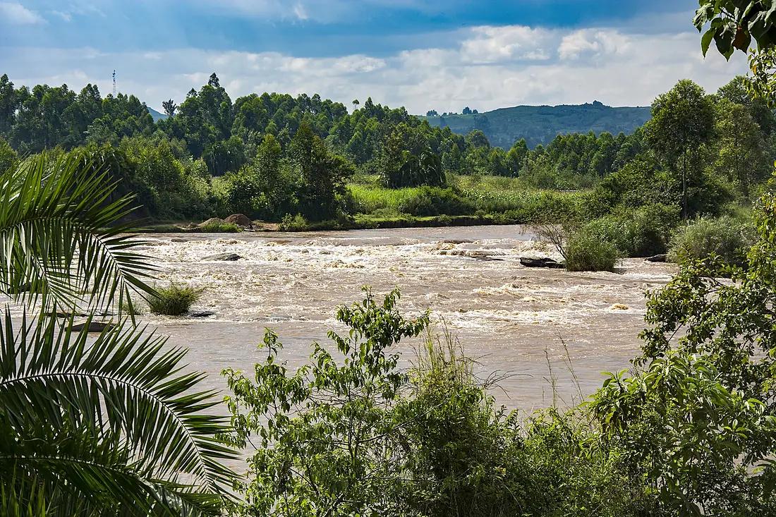 Waters of River Nzoia