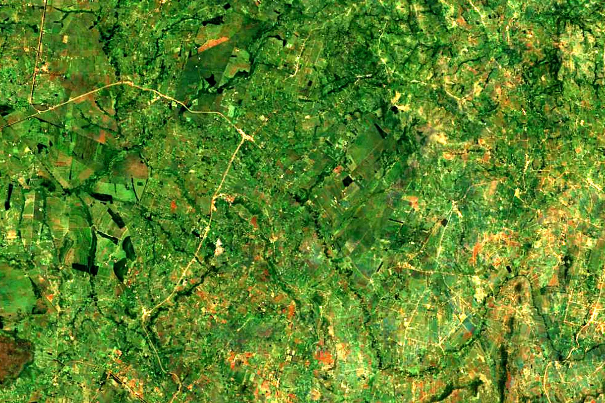 Nzoia River: satellite view of the source