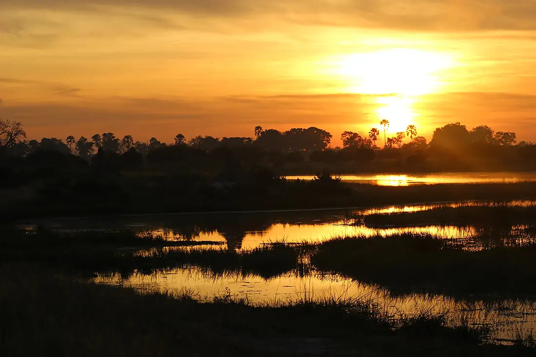 Okavango-delta-sunrise-april-2025
