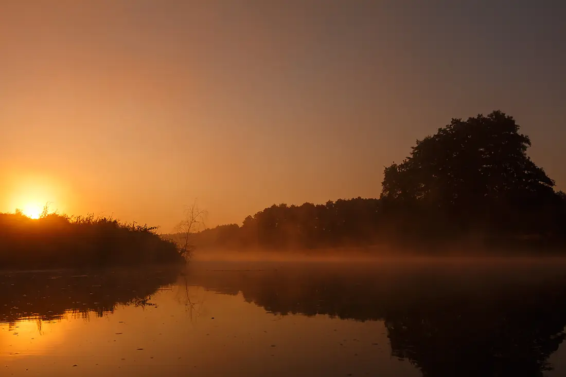 Foggy morning on Oskol river