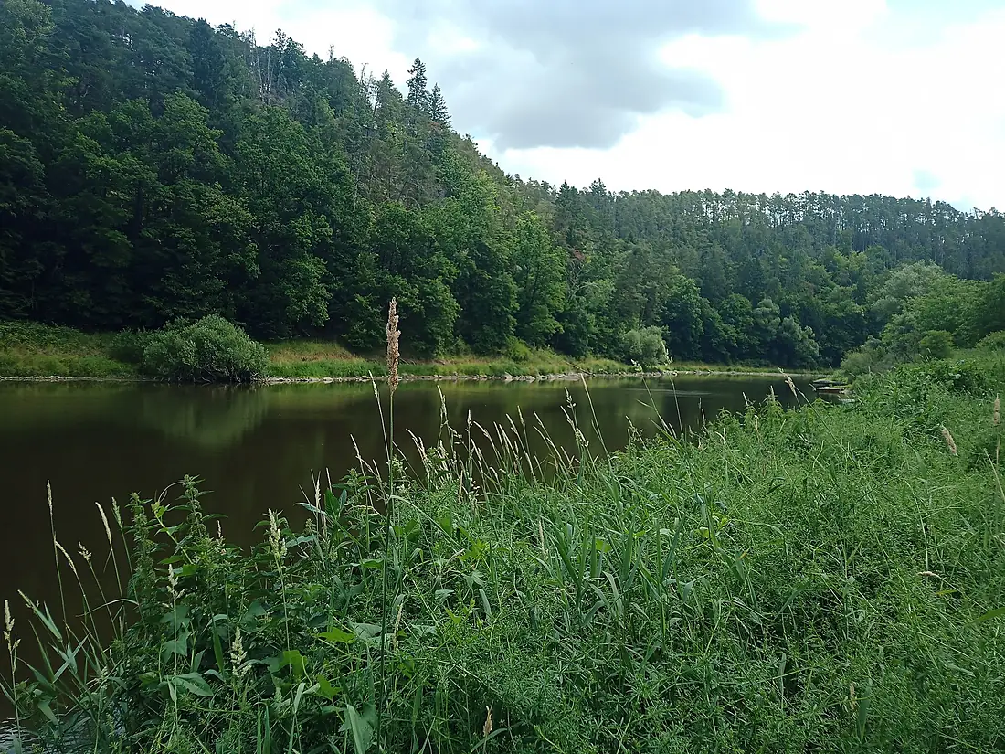 Borečnice, Otava před Smetiprachem