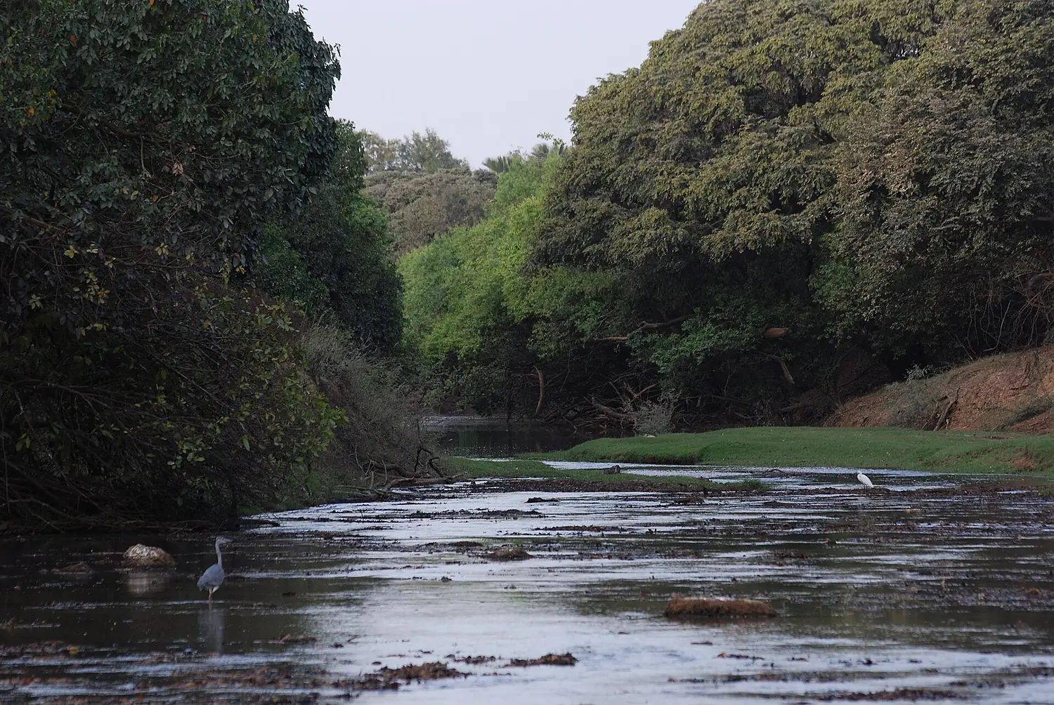 Pendjari Fluss