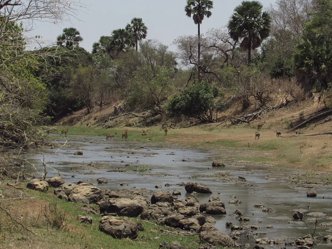 Pendjari fluss