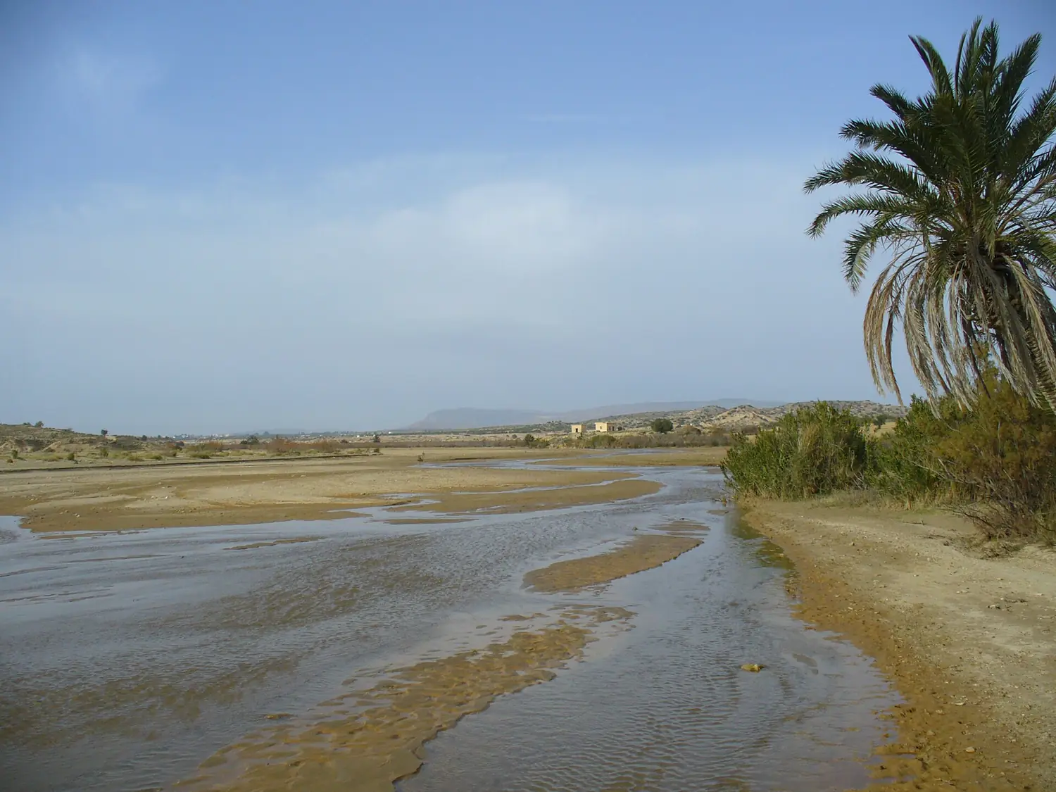 Merguellil