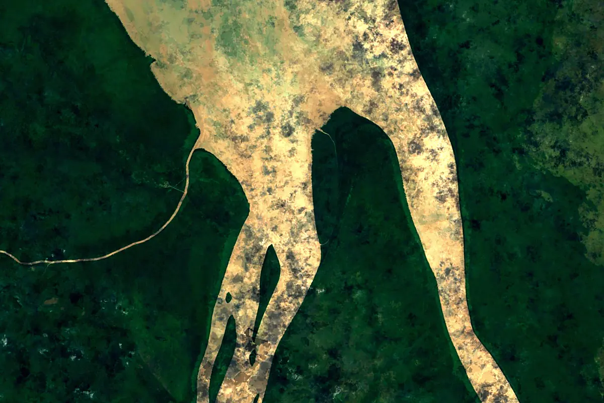 Oyapock: satellite view of the mouth