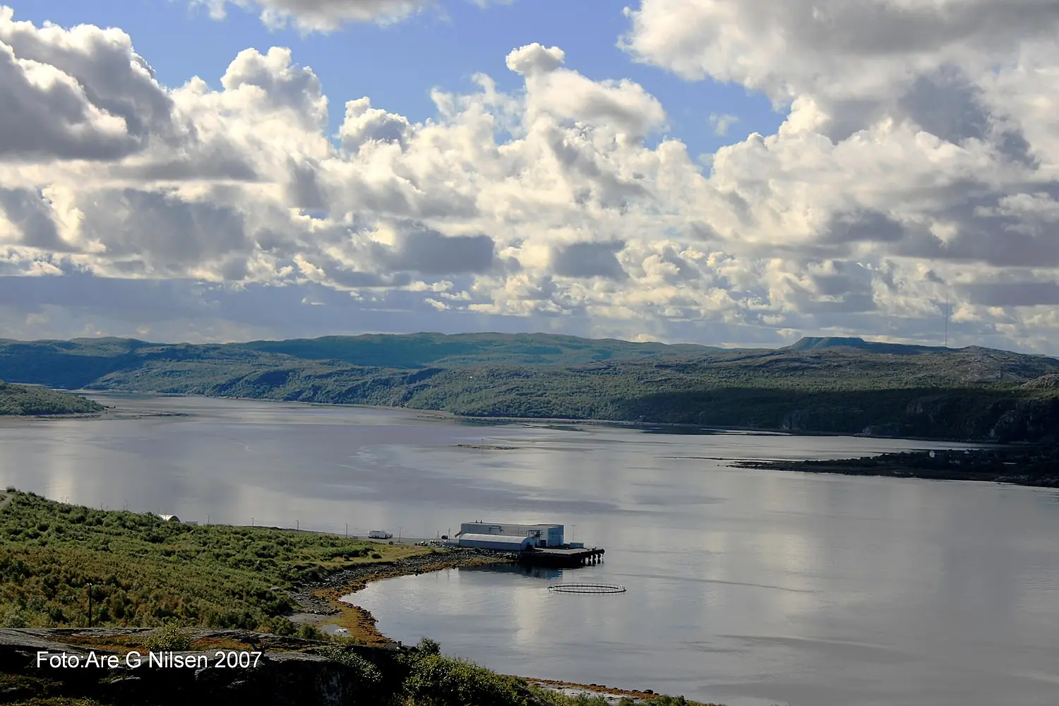 Pasvikelvas utløp - panoramio