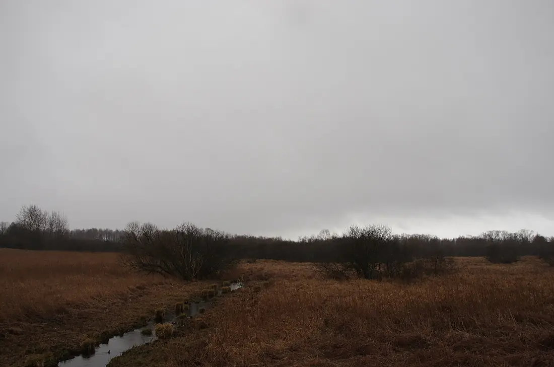 Parsęta-Source-Near-Parsęcko-01