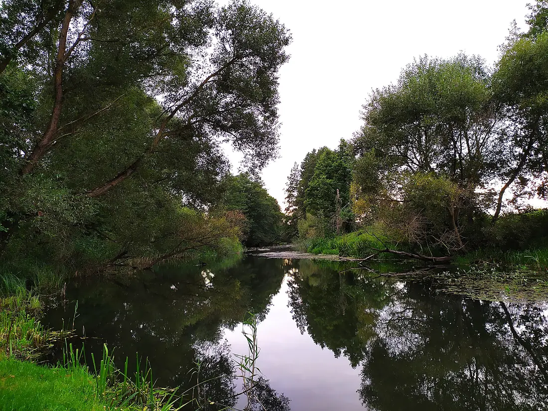 Rečki (Aziaryčyna), Pcič, Рэчкі (Азярычына), Пціч (2021)