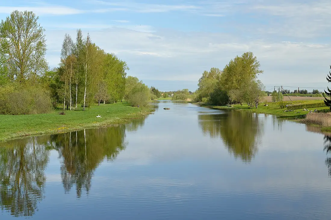 Pedja jõgi (Jõgeva)