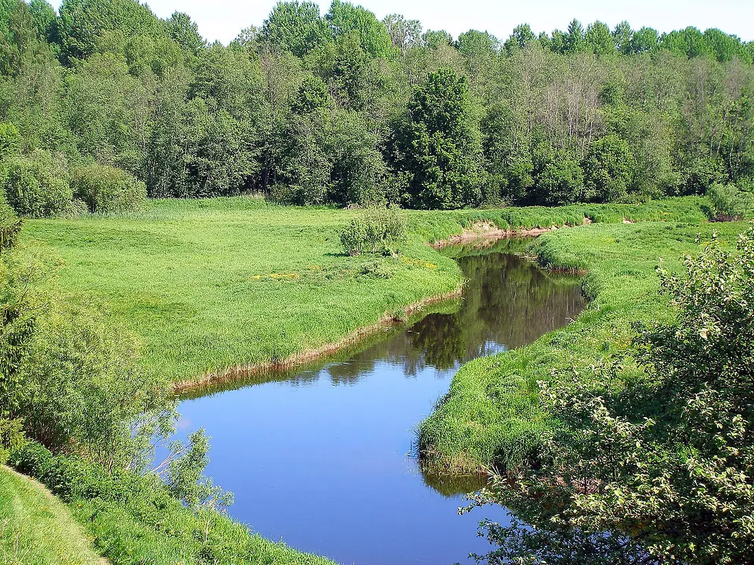 Pedja River at Altmetsa