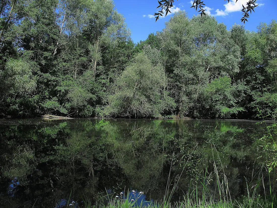 Altwasser der Pegnitz, Nürnberg-West