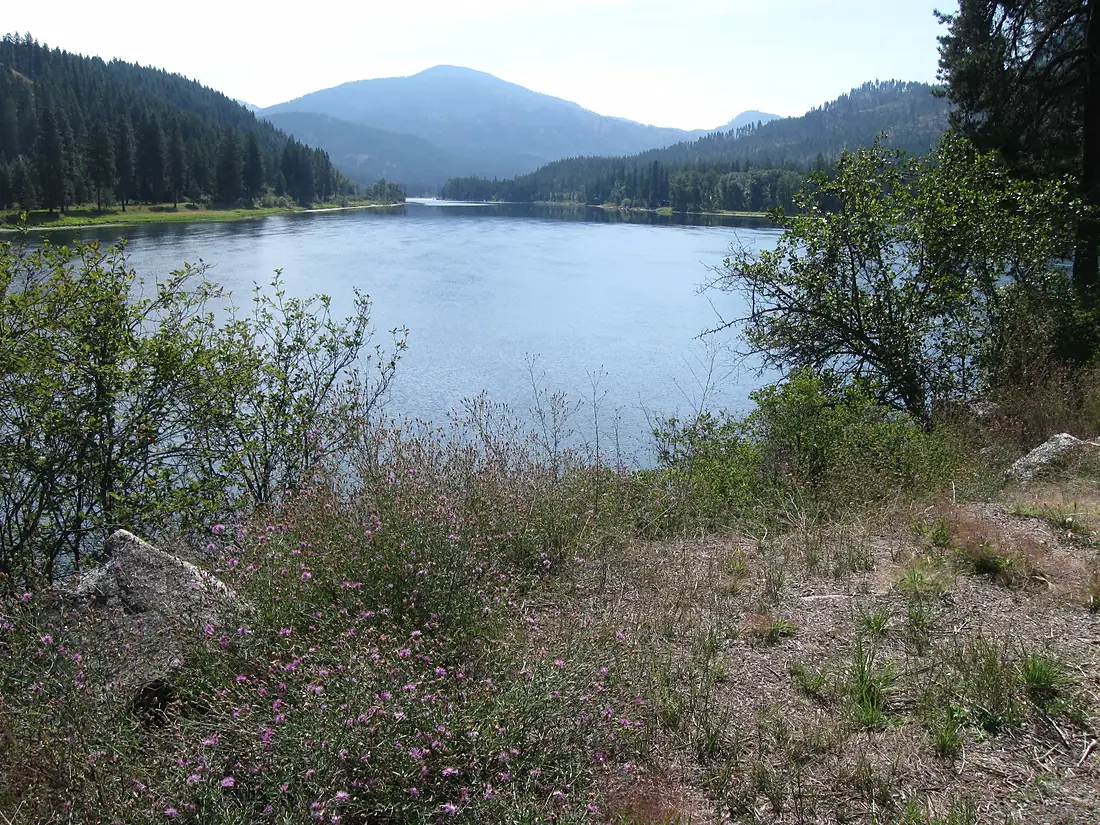 Pendoreille River (3942361887)