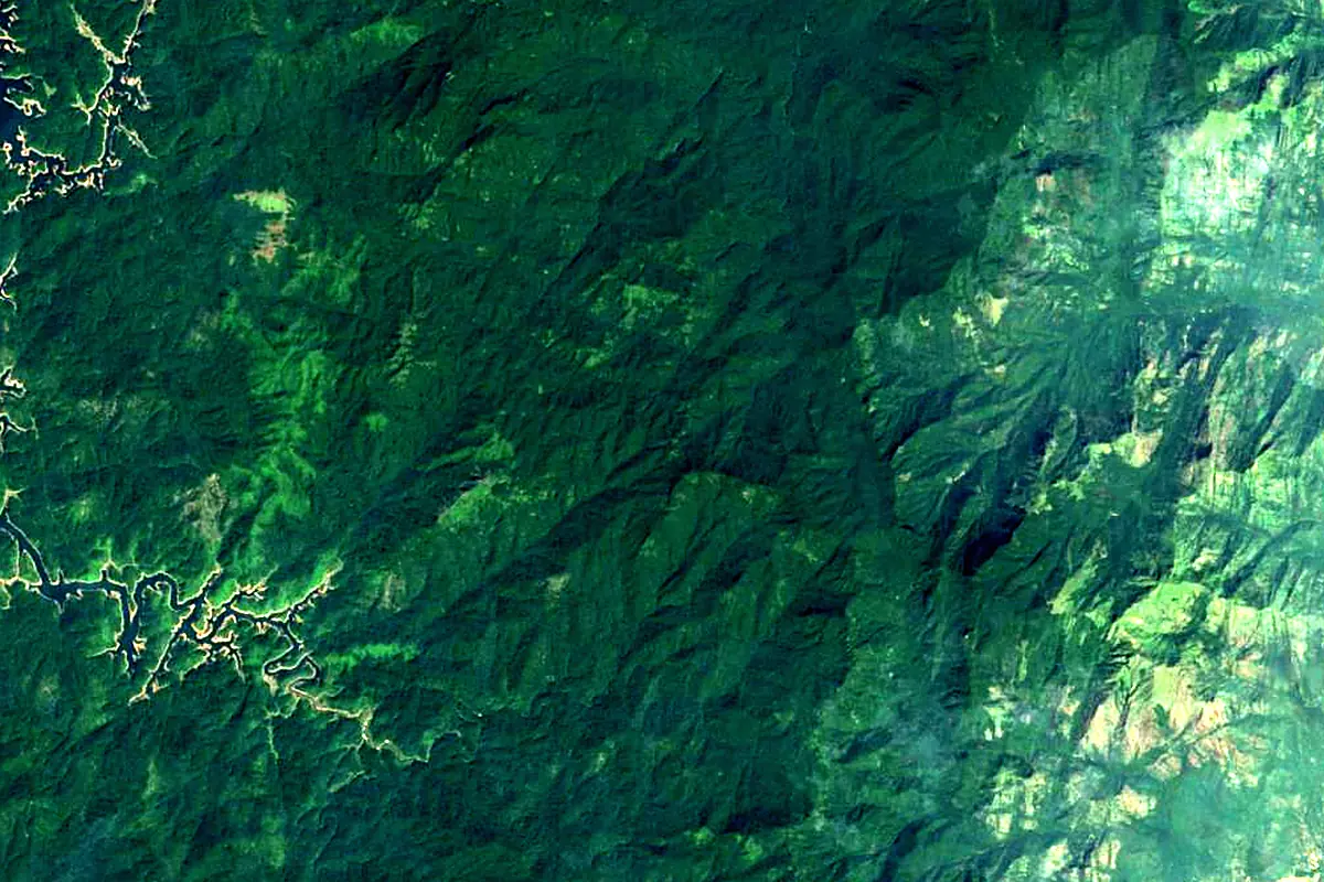 Periyar River: satellite view of the source